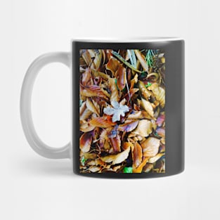 Autumn means leaves Mug